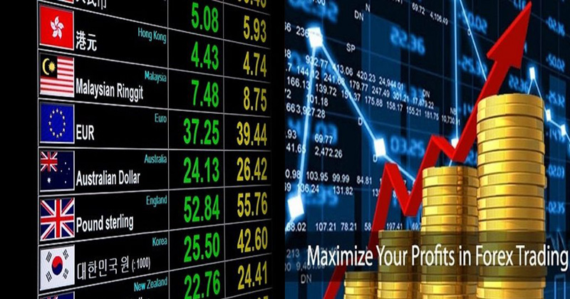 Let forex profits grow